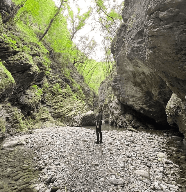 On vous a fait rêvé ?